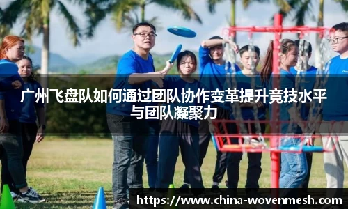 广州飞盘队如何通过团队协作变革提升竞技水平与团队凝聚力