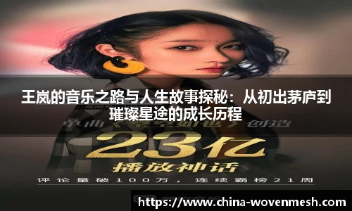 王岚的音乐之路与人生故事探秘：从初出茅庐到璀璨星途的成长历程