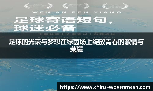 足球的光荣与梦想在绿茵场上绽放青春的激情与荣耀